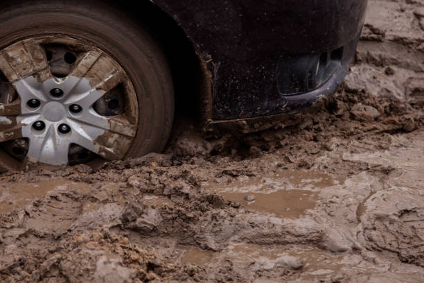 istockphoto-947522864-612x612-2